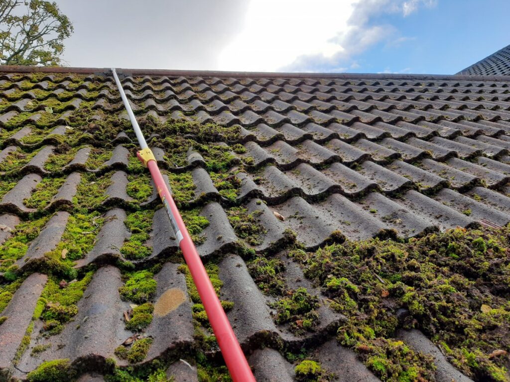 roof cleaning 